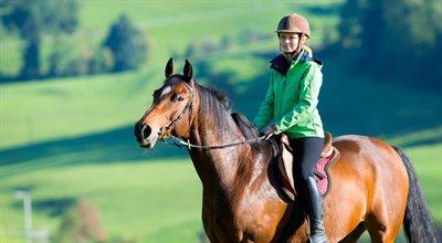 Jeździectwo - jak rozpocząć przygodę z jazdą konną?