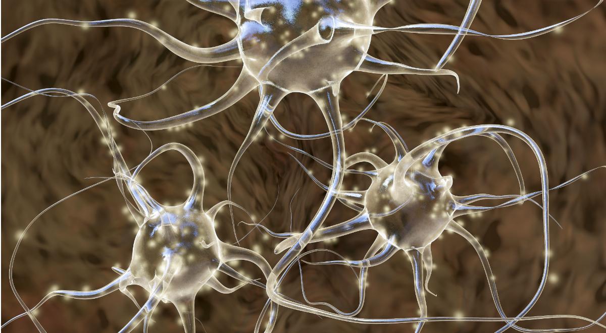 Współczujący mózg - czym są neurony lustrzane?