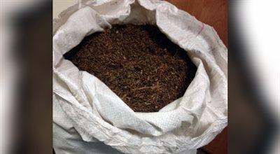 20 kg tytoniu przykryte drewnem kominkowym. 44-latek wpadł z nielegalnym towarem