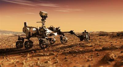 Mars na Ziemi i testowanie robotów? To się dzieje w Kąkolewie