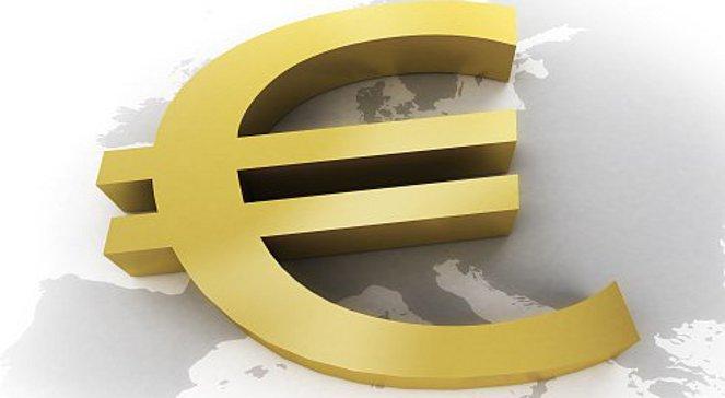 Czy chcemy przyjęcia euro?