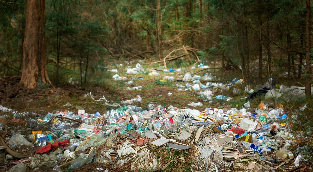Walka z nielegalnymi leśnymi wysypiskami śmieci 