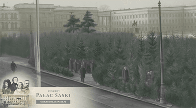 Warszawiacy przed wojną wiedzieli: po choinki przed Pałac Saski