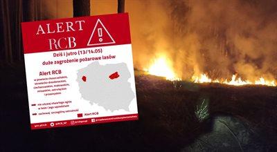 Uwaga: duże zagrożenie pożarowe lasów. Alert RCB dla siedmiu powiatów