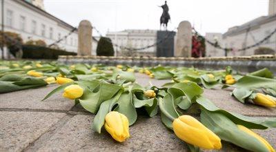 Tulipany dla Marii Kaczyńskiej. Hołd dla Pierwszej Damy