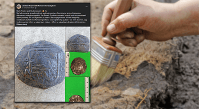 Lubelskie. XVII-wieczna moneta z Meksyku znaleziona pod Hrubieszowem