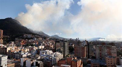 Pożary lasów w Kolumbii. W kraju ogłoszono stan klęski żywiołowej