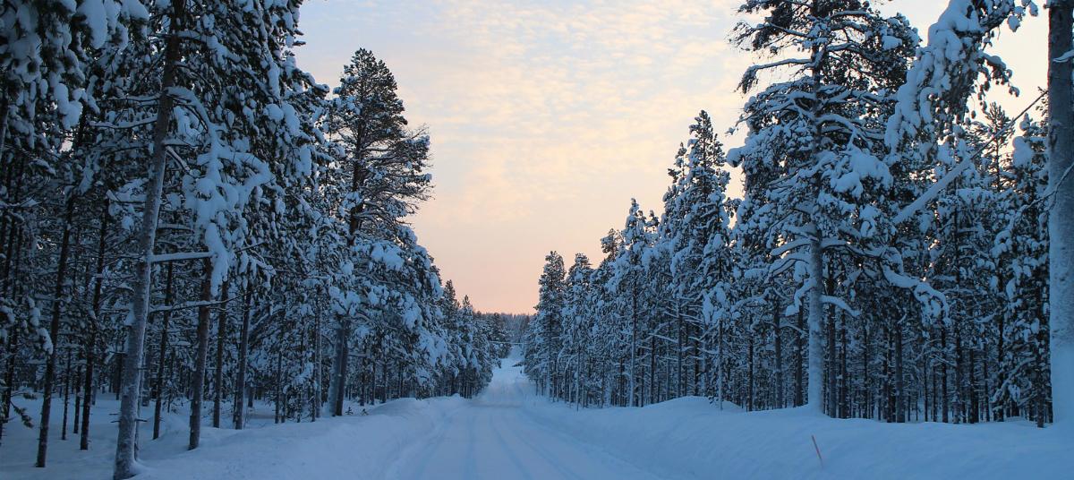 Wszystkie blaski Szlaku Królewskiego w Laponii
