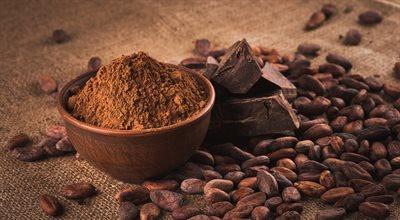 Ceny kakao biją historyczne rekordy. Czy czekają nas podwyżki cen słodyczy? 
