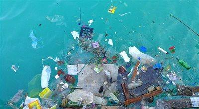 Plastik jest wszędzie - jak powstrzymać zanieczyszczanie środowiska?