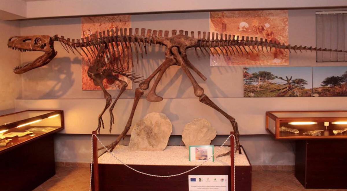 Smok wawelski istniał naprawdę, ale naukowcy nie wiedzą, czy był dinozaurem