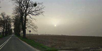 Pogoda. Apogeum pyłu saharyjskiego nad Polską. Eksperci zalecają unikać aktywności
