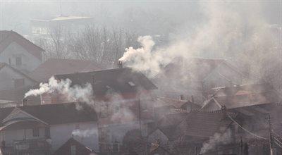 Fatalne skutki smogu. Prof. Kleczkowski: mamy najgorsze powietrze w Europie