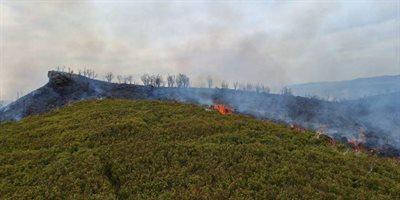 Pożar w Bieszczadach. Śmigłowiec, drony i prawie 100 osób w akcji