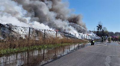 Olbrzymi pożar w Koninie, kłęby dymu nad miastem. Płonie nielegalne składowisko odpadów