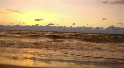 Ekolodzy z WWF sprzątają Bałtyk i szukają wraków