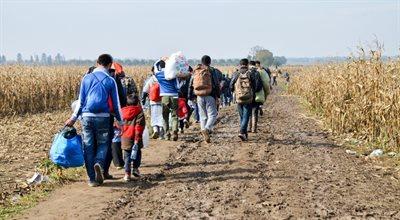 Serbia walczy z nielegalnymi migrantami. To główny szlak do krajów UE 