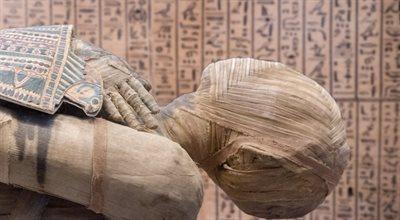 Jak pachniała egipska mumia? Naukowcy odtworzyli zapach balsamu używanego przy mumifikacji