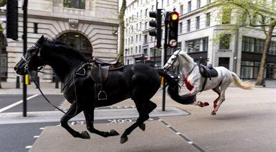 Jeden czarny, drugi zalany krwią. Spłoszone konie biegały po ulicach Londynu