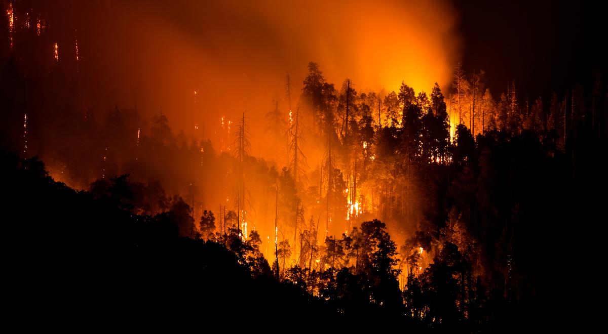 Pożar lasu w Parku Narodowym Czeska Szwajcaria. Kilkuset strażaków walczy z ogniem