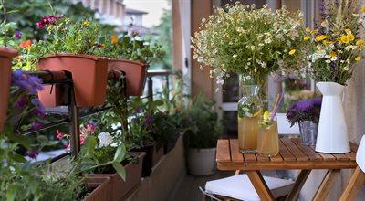 Kwiatowo - warzywny ogród na balkonie