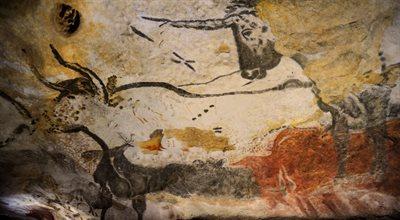 Archeolog-amator pomógł złamać jaskiniowy szyfr sprzed 20 tysięcy lat