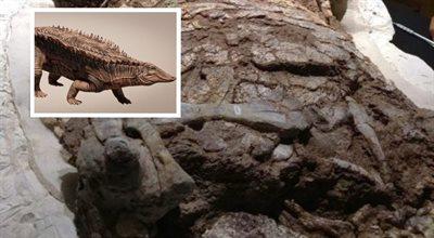 Prazwierzęta jak czołgi. Aetozaury - niezwykli krewni krokodyli