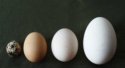 Jajko jajku nierówne. Jak wybrać te najlepsze?