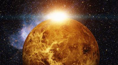W atmosferze Wenus nie ma życia 