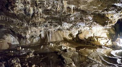 Jaskinia Niedźwiedzia – jedna z najpiękniejszych w Polsce