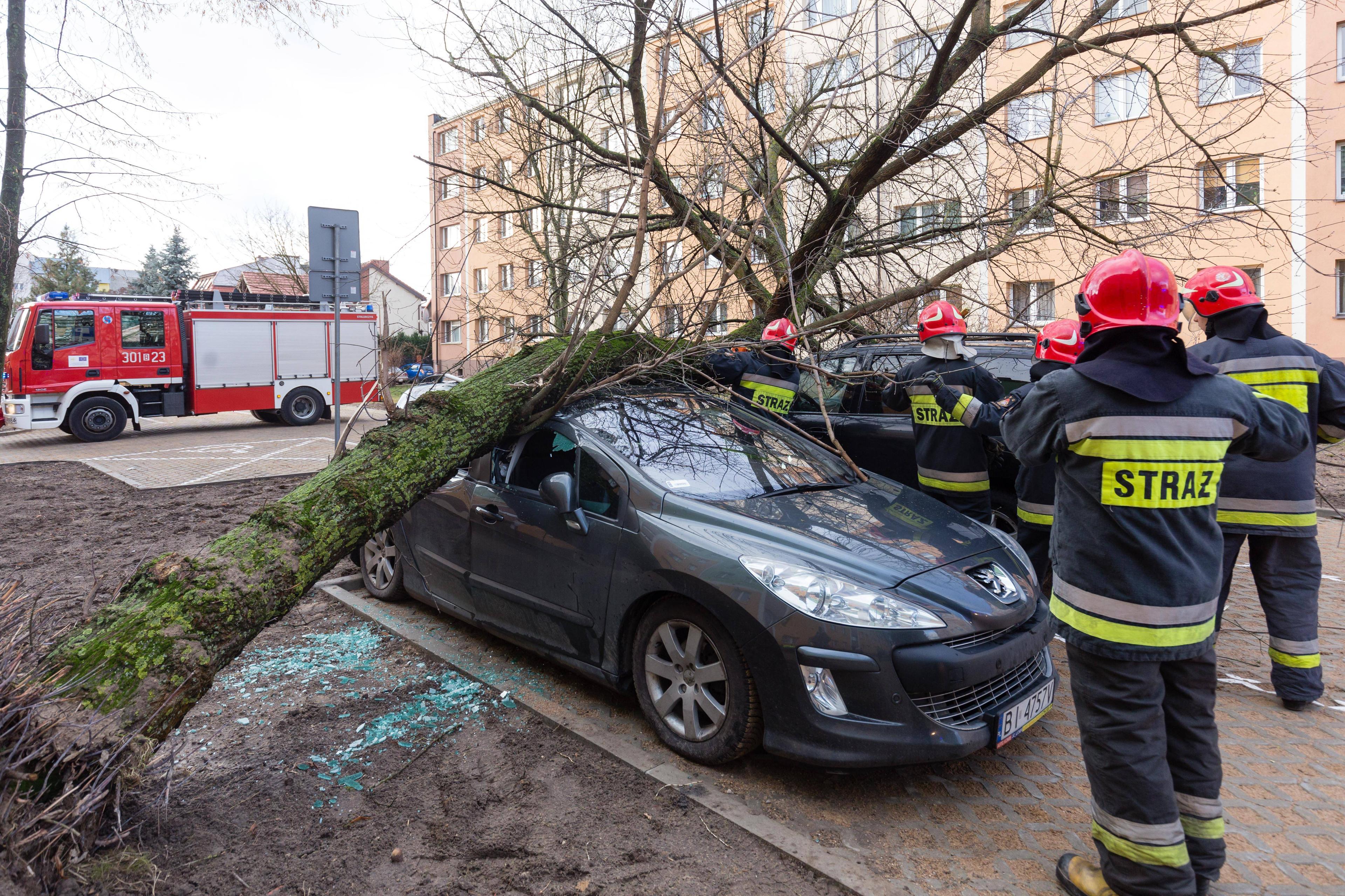 Złamane drzewo zniszczyło nasz samochód. Czy dostaniemy odszkodowanie?