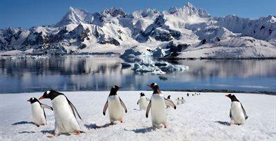 Śladami pingwinów przez biegun południowy