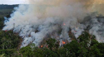Pożary w Amazonii. Sytuacja jest najgorsza od lat