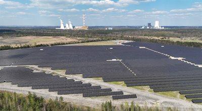 Największa w Polsce farma fotowoltaiczna. Tauron zakończył montaż paneli słonecznych