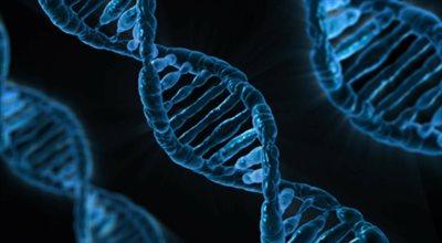 Jak odkryć i wykorzystać tajemnice zapisane w genach?