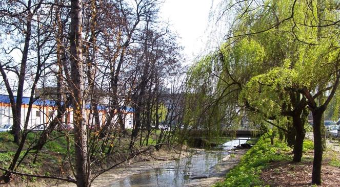 "Zaadoptuj rzekę" - w Polsce jest coraz mniej wody