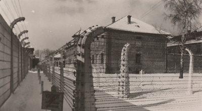 "Auschwitz to było piekło na ziemi". Wspomnienia Eulalii Rudak