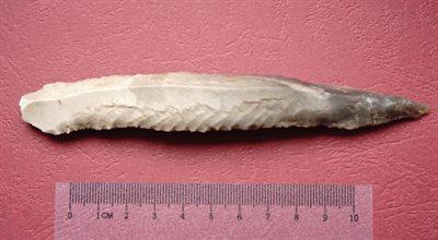 Lubelskie. Neolityczne narzędzie odnalezione w dolinie rzeki Wieprz