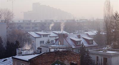 Jaka jest jakość powietrza w Polsce? 