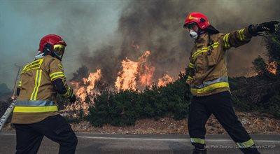 Tysiąc hektarów lasów płonie we Francji. Polscy strażacy jadą z pomocą