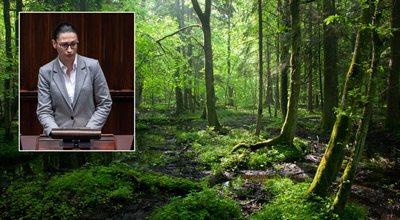 Wiceminister klimatu komentuje wyrok TSUE. ws lasów: nie będziemy chodzić na pasku aktywistów