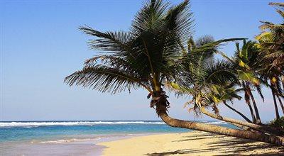 Najpopularniejsze turystyczne miejsce świata. Punta Cana na Dominikanie wakacyjnym rajem 