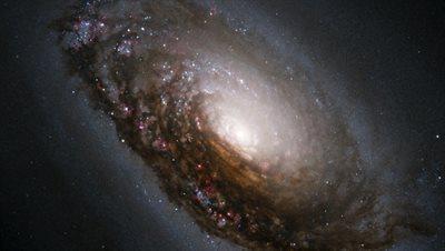 Japończycy odkryli prastare galaktyki