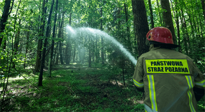Będą wspólnie edukować, jak zachowywać się w lesie. Karkonoski Park Narodowy podpisał porozumienie ze strażakami