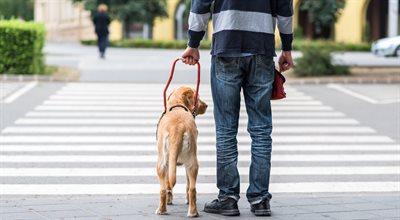 Pies przewodnik - przyjaciel i pomocnik osoby niewidomej