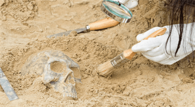Wielkopolska. W miejscu odkrycia skarbu z epoki brązu odnaleziono ludzką czaszkę