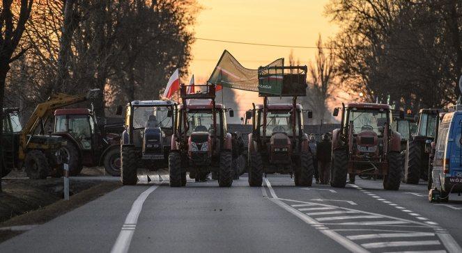 "Świński kryzys". Czy protesty rolników są uzasadnione?