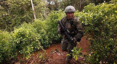 Kolumbia: starcia armii z plantatorami koki. Żołnierze zapędzeni do koszar kamieniami i kijami