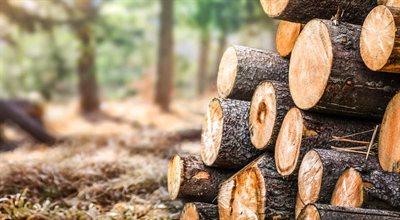 Zakup drewna na opał od Lasów Państwowych. Wiceminister środowiska odpiera zarzuty opozycji