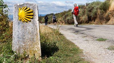 Średniowiecznym szlakiem do Santiago de Compostela. Piesze wędrówki po Europie pełne pasji
